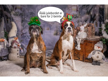 Bli med på julebord!