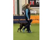 Fullt Fokus Kurs - med Mai Nicolaysen!